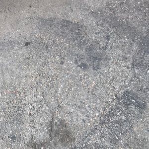 Meet your Posher, Anne